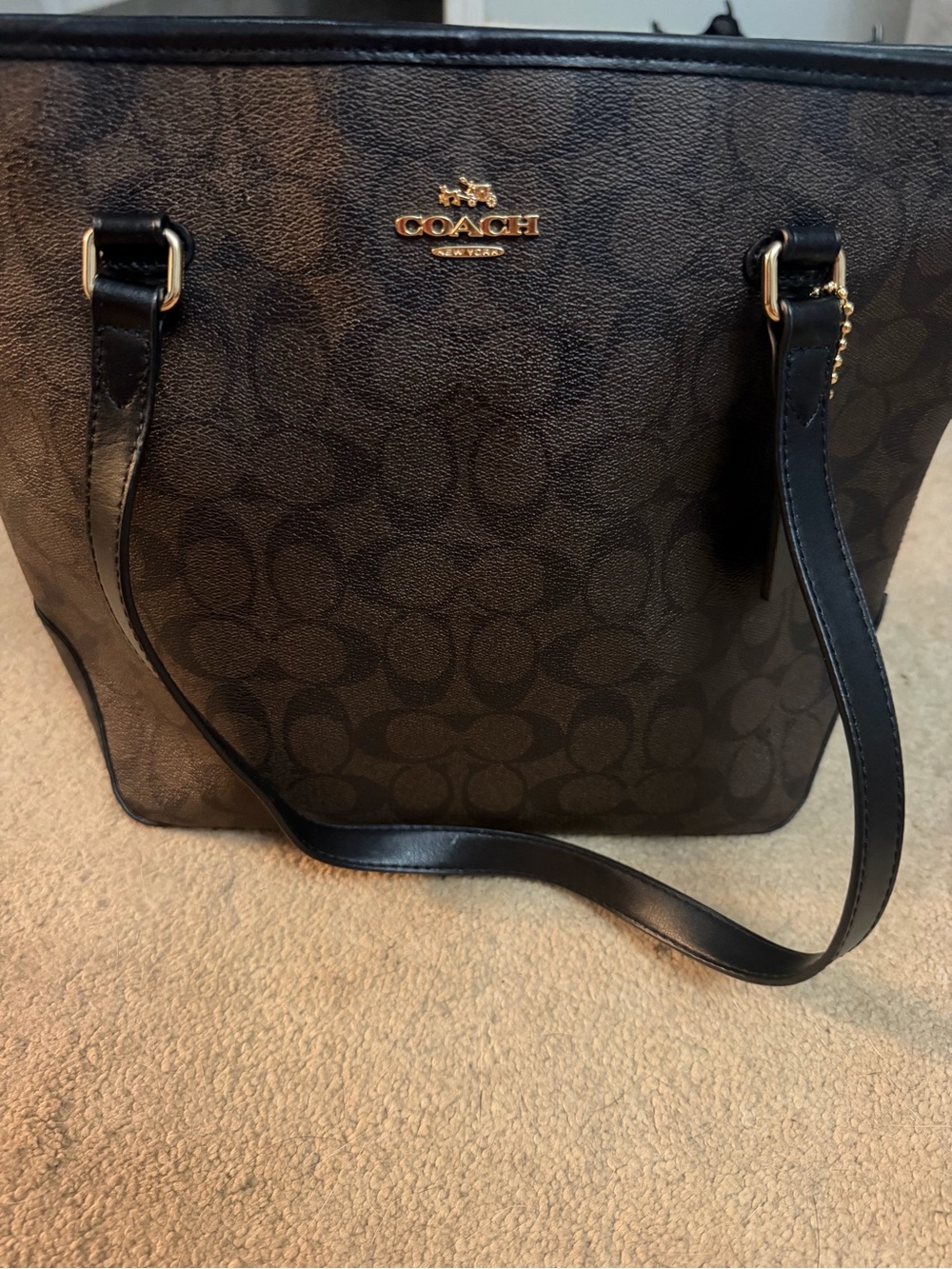COACH Signature Tote Bag